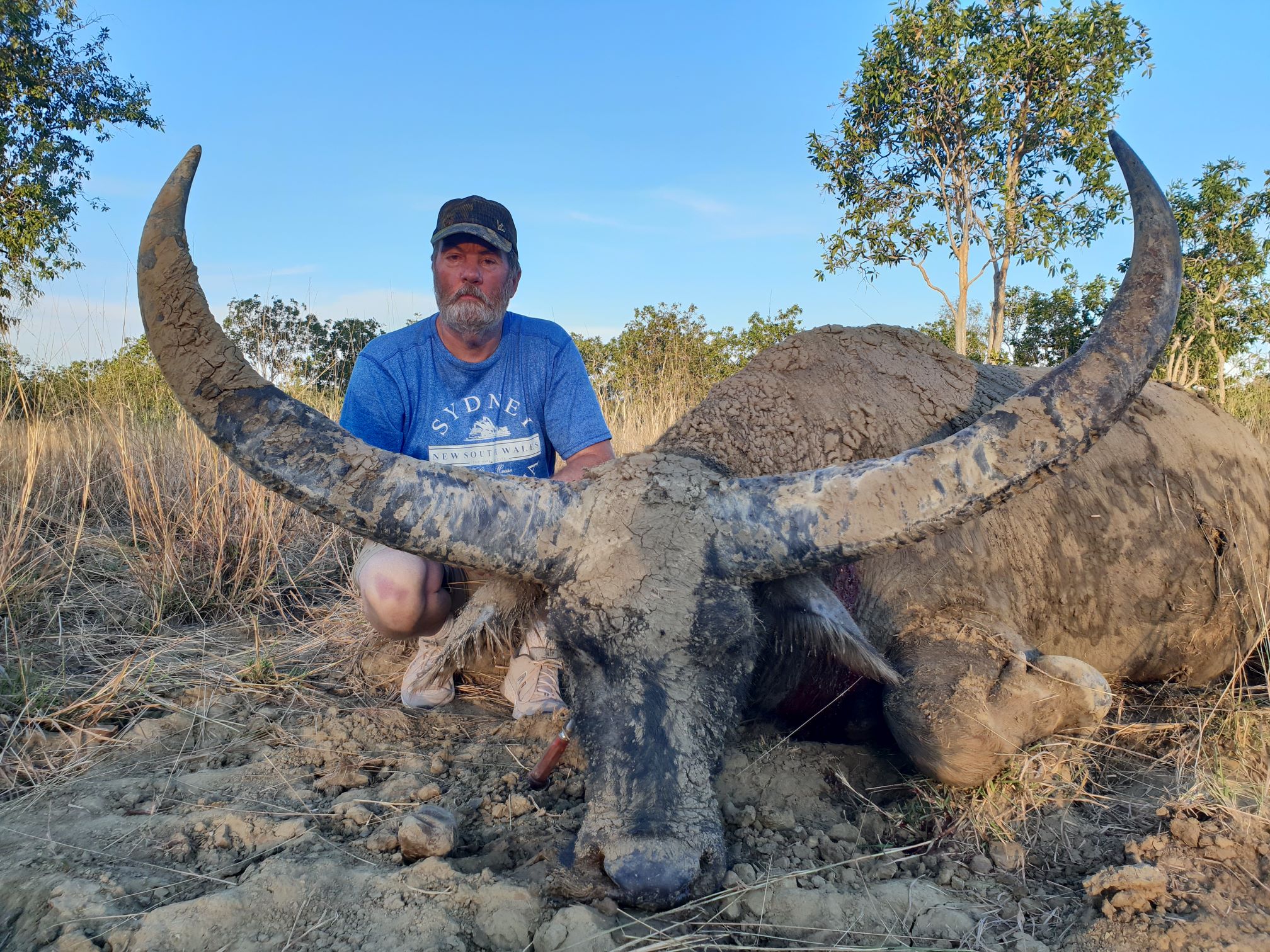 Buffalo