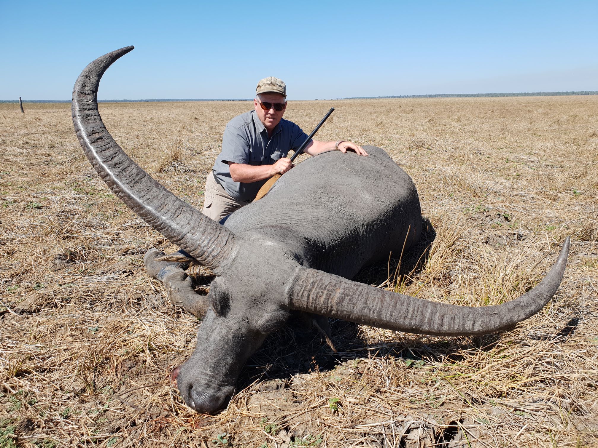 Buffalo