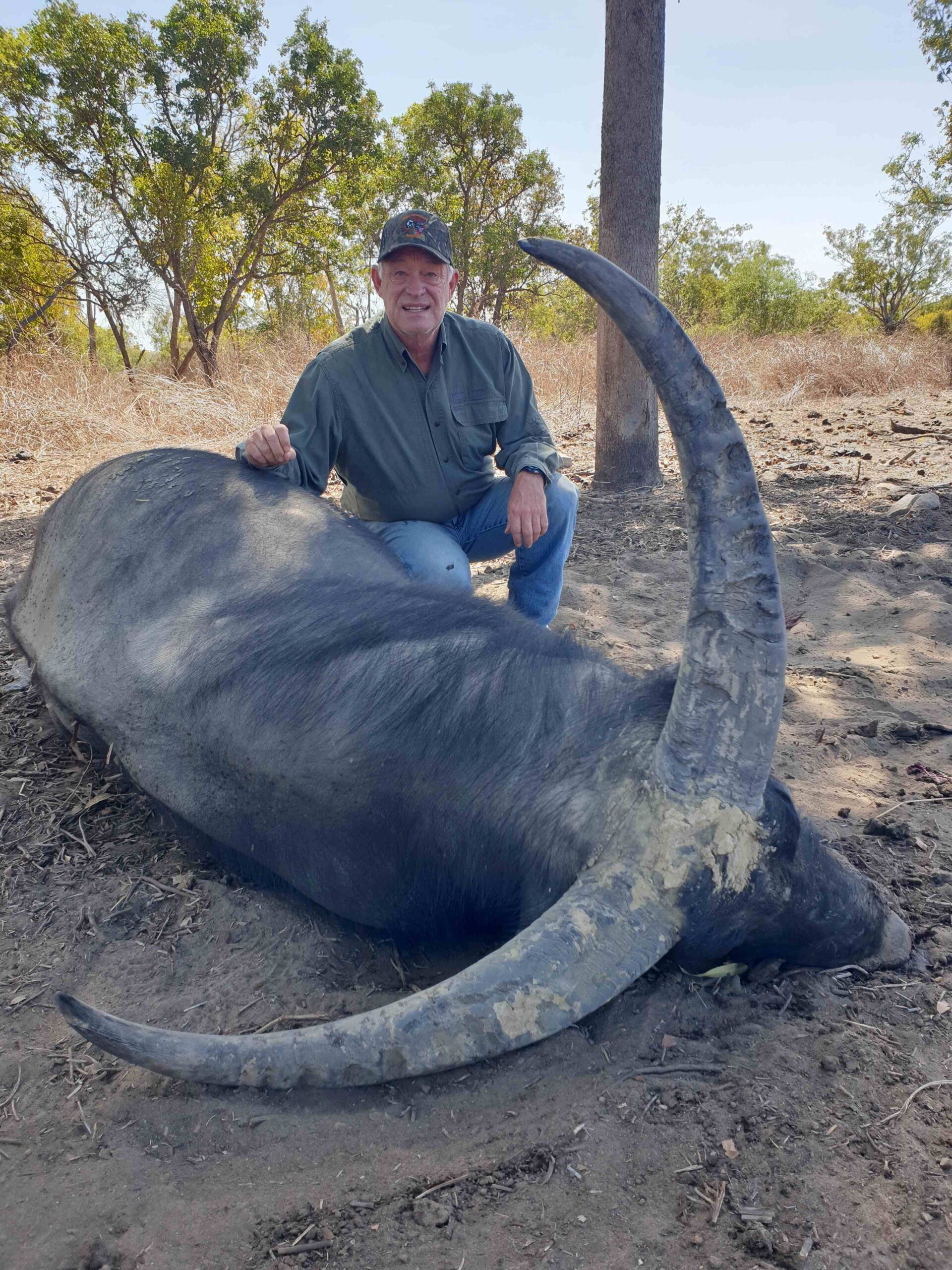Buffalo