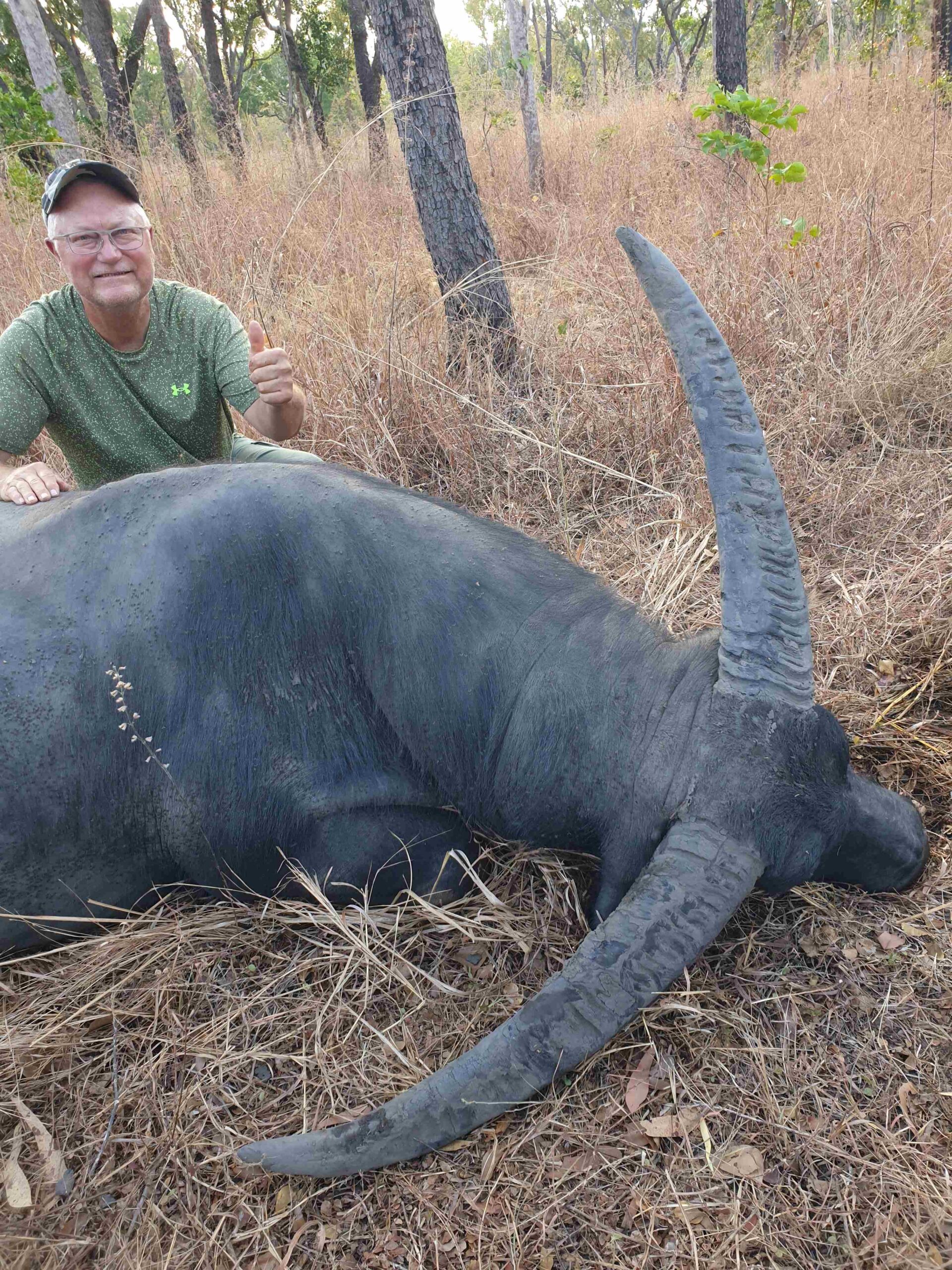 Buffalo