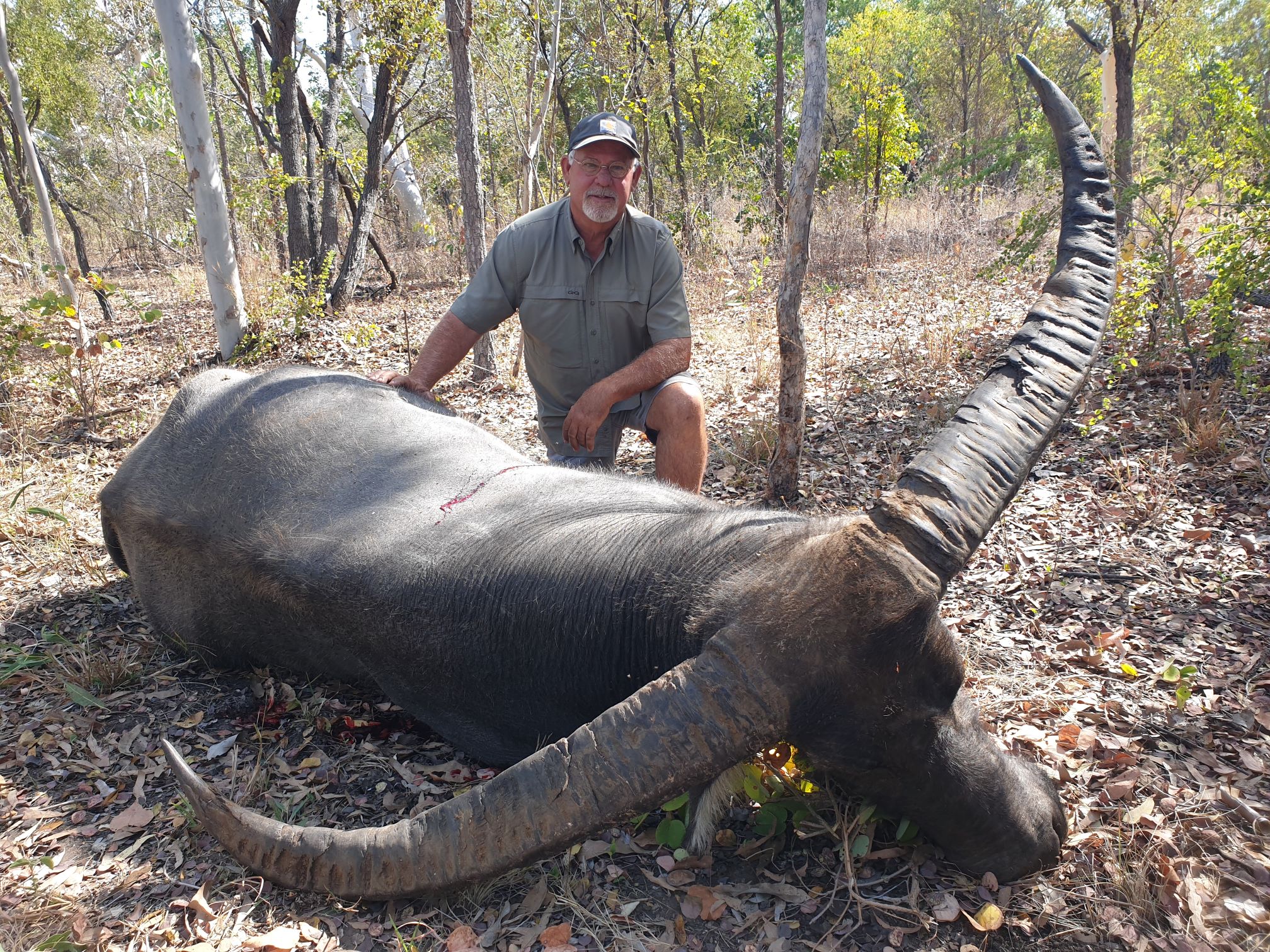 Buffalo