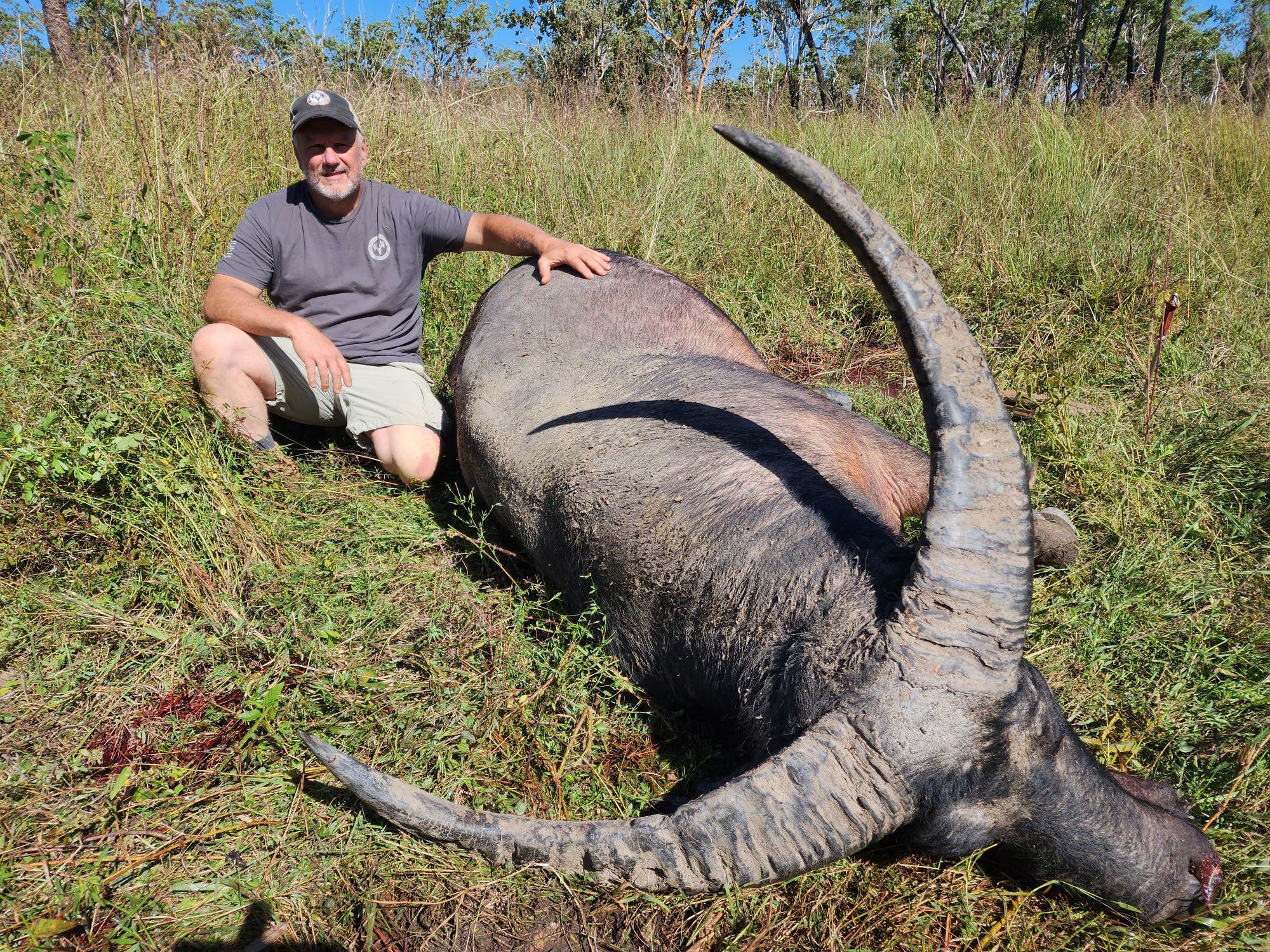 Buffalo