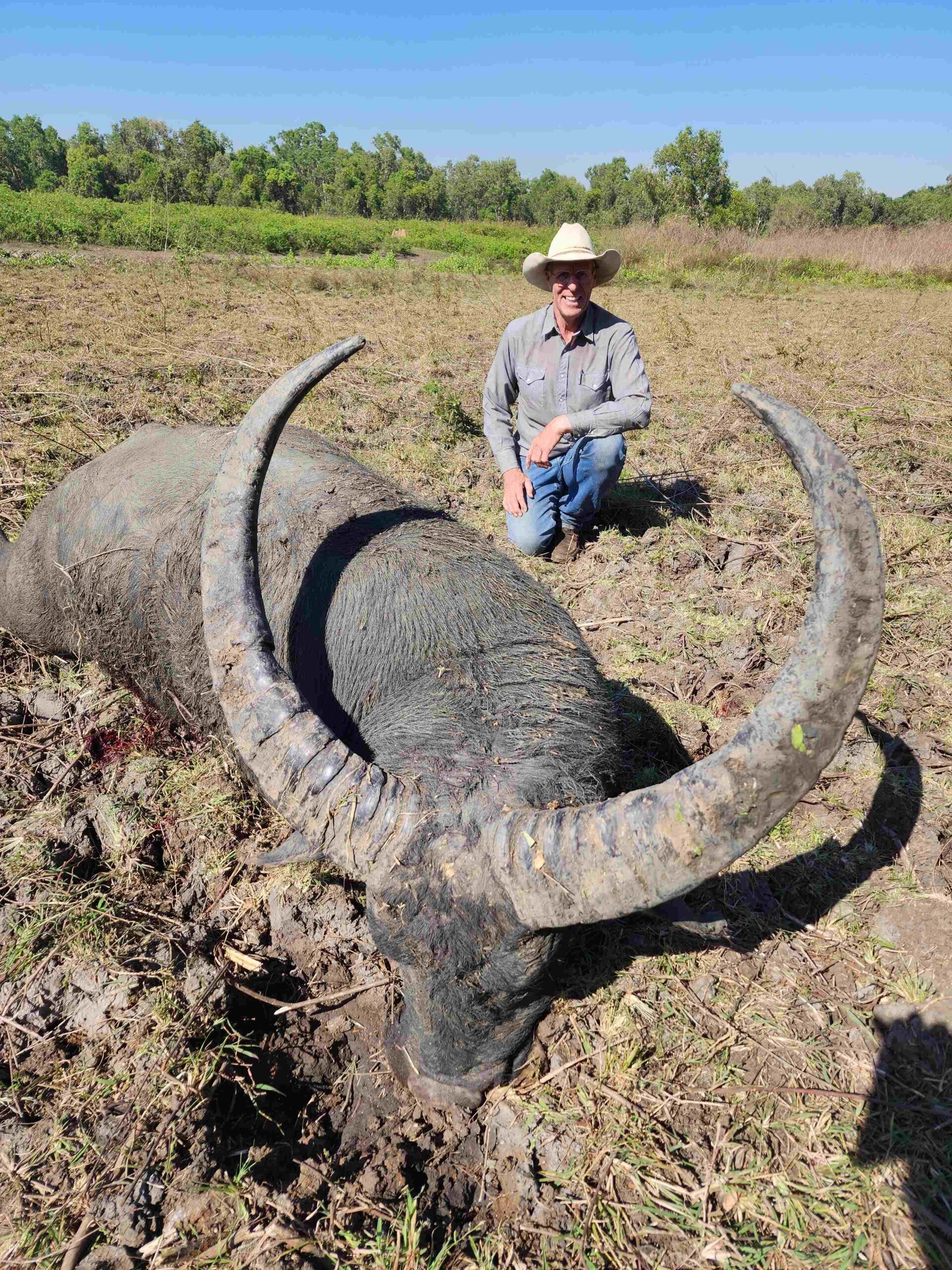 Buffalo