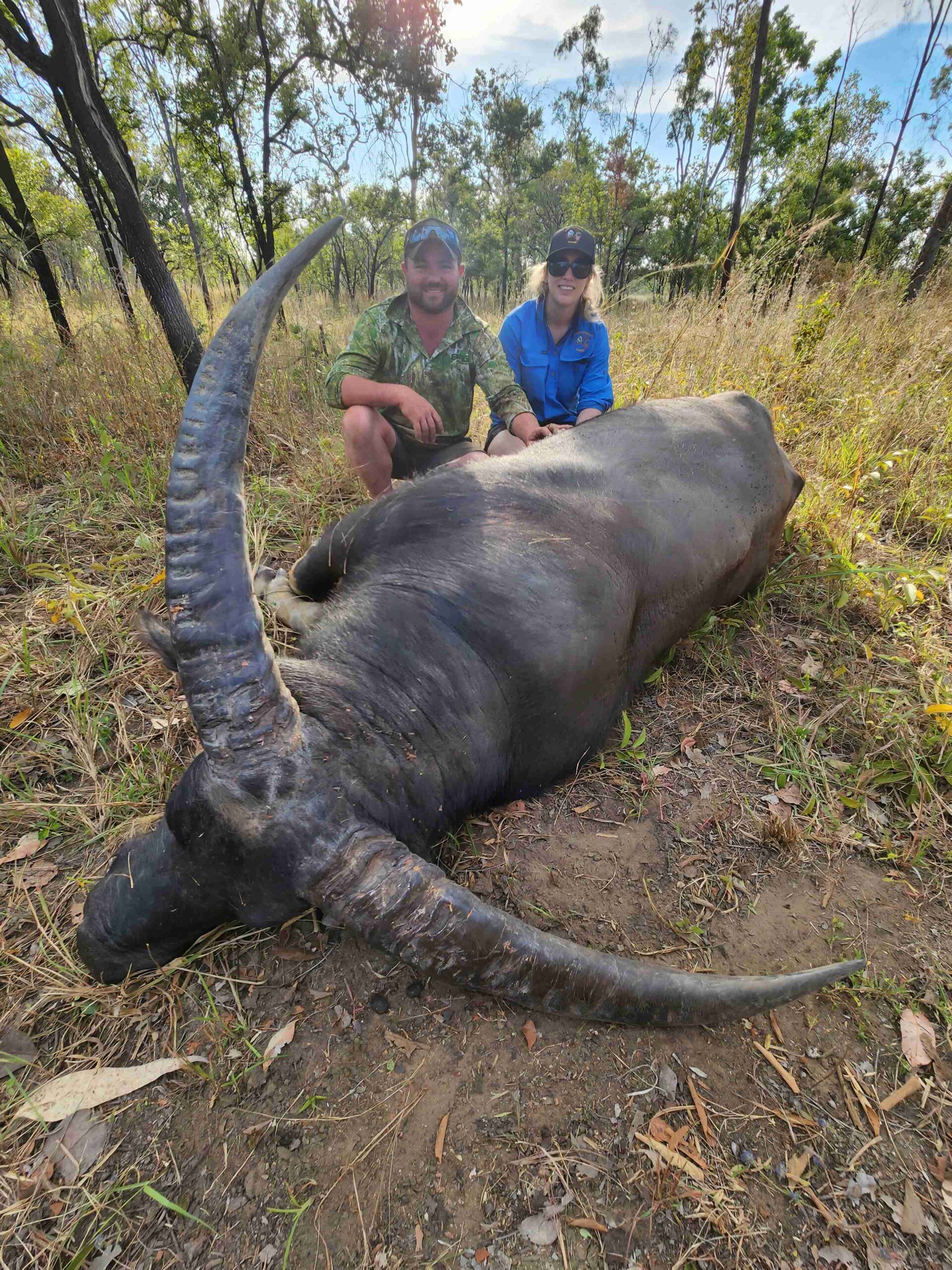 Buffalo