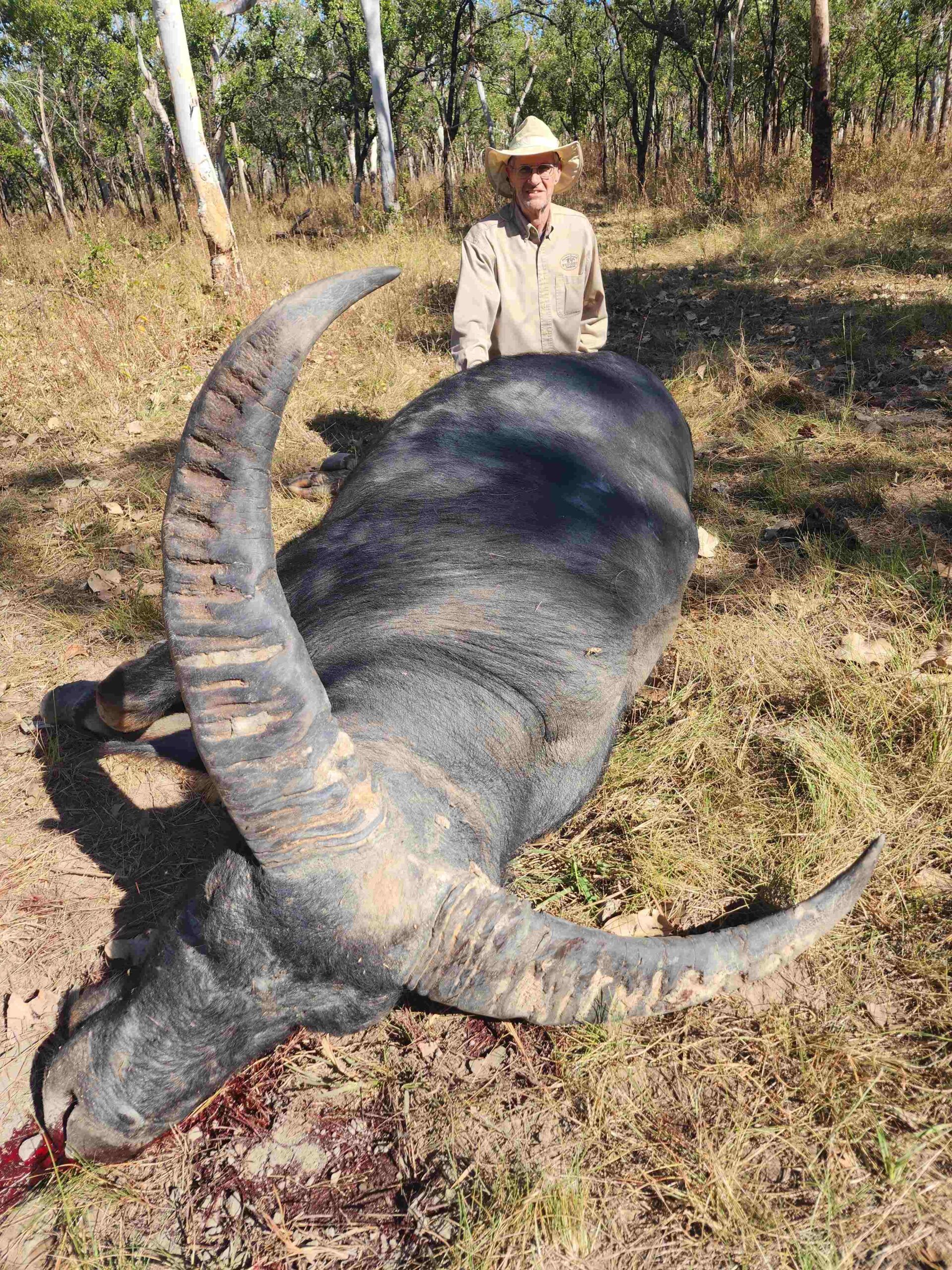 Buffalo
