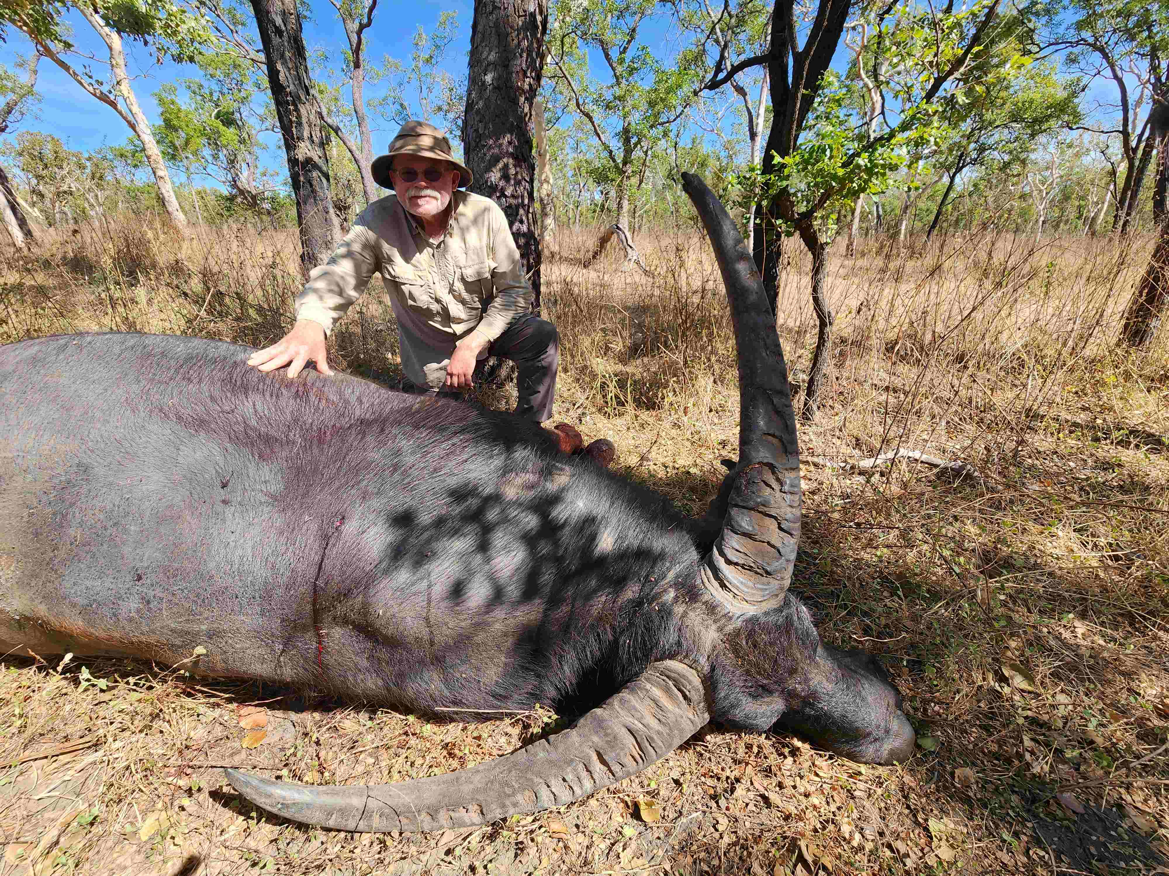 Buffalo