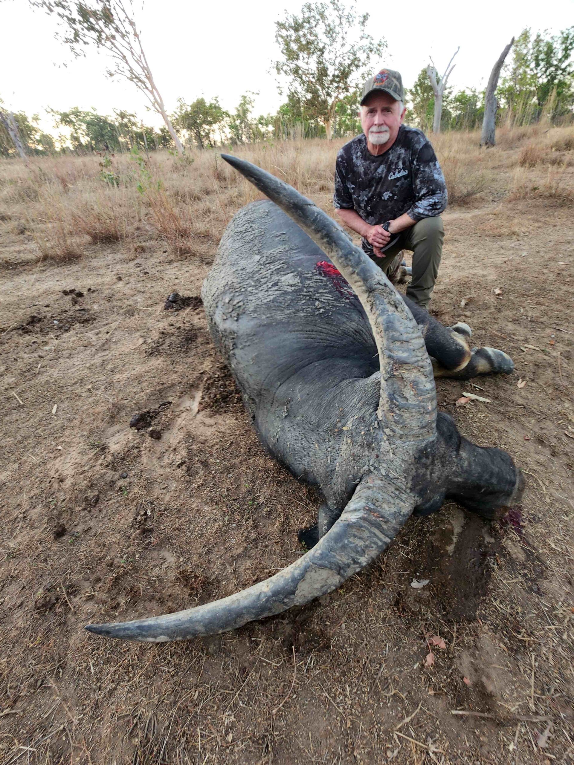 Buffalo