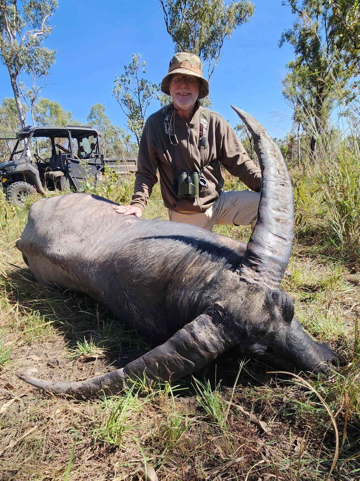 Buffalo