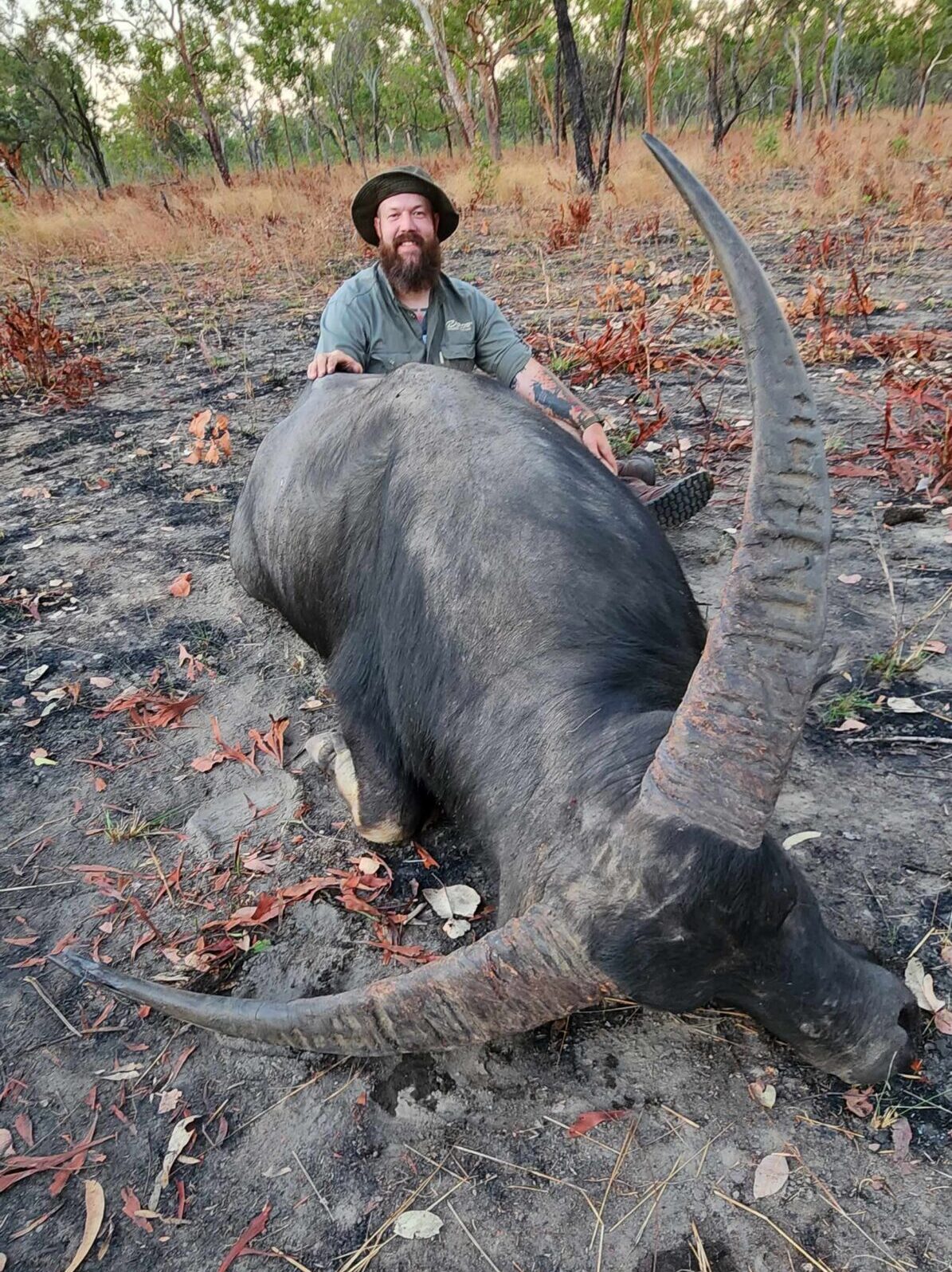 Buffalo