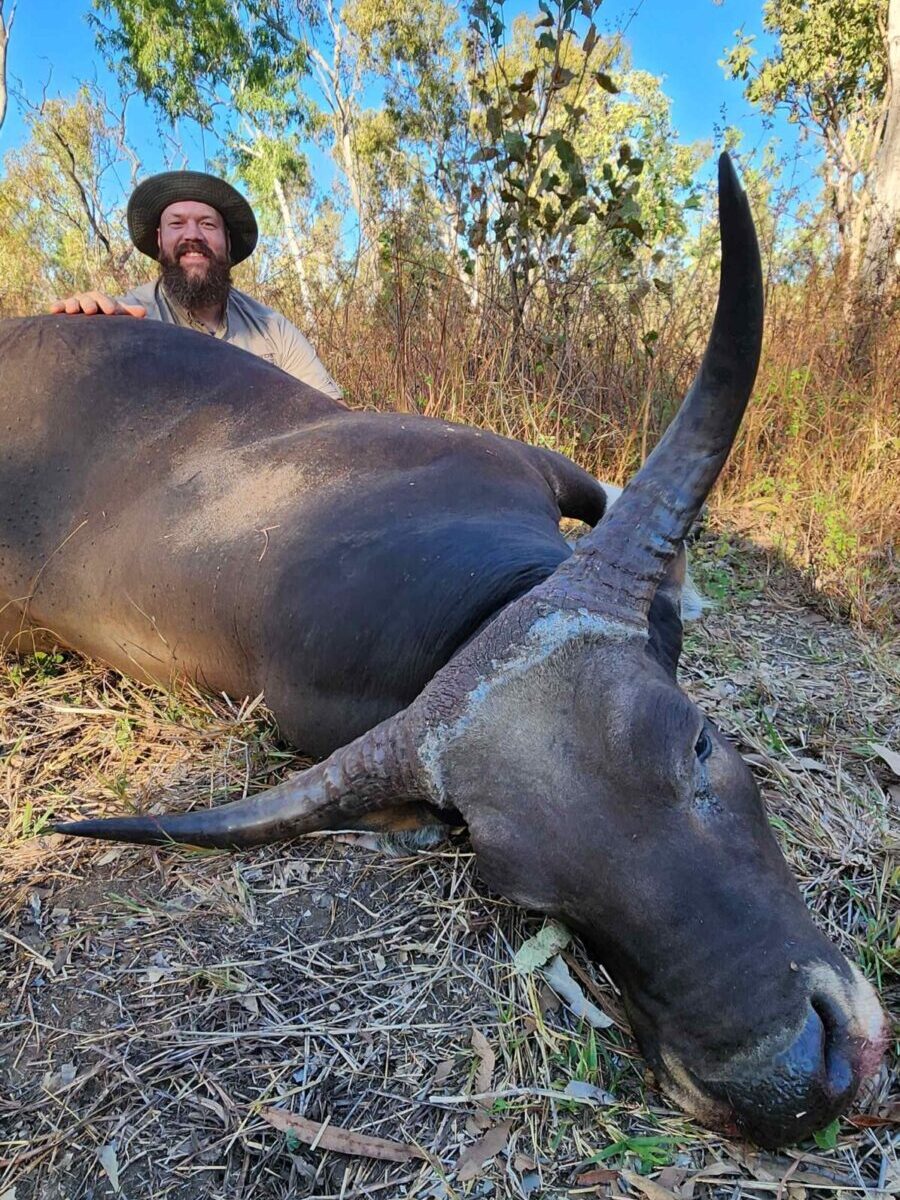 Banteng
