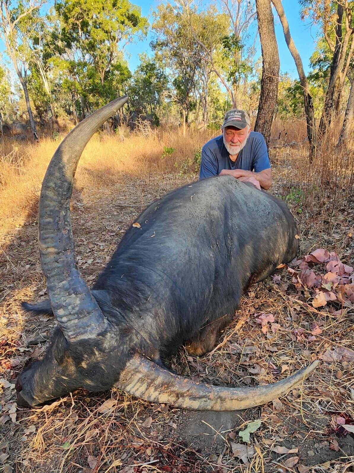 Buffalo
