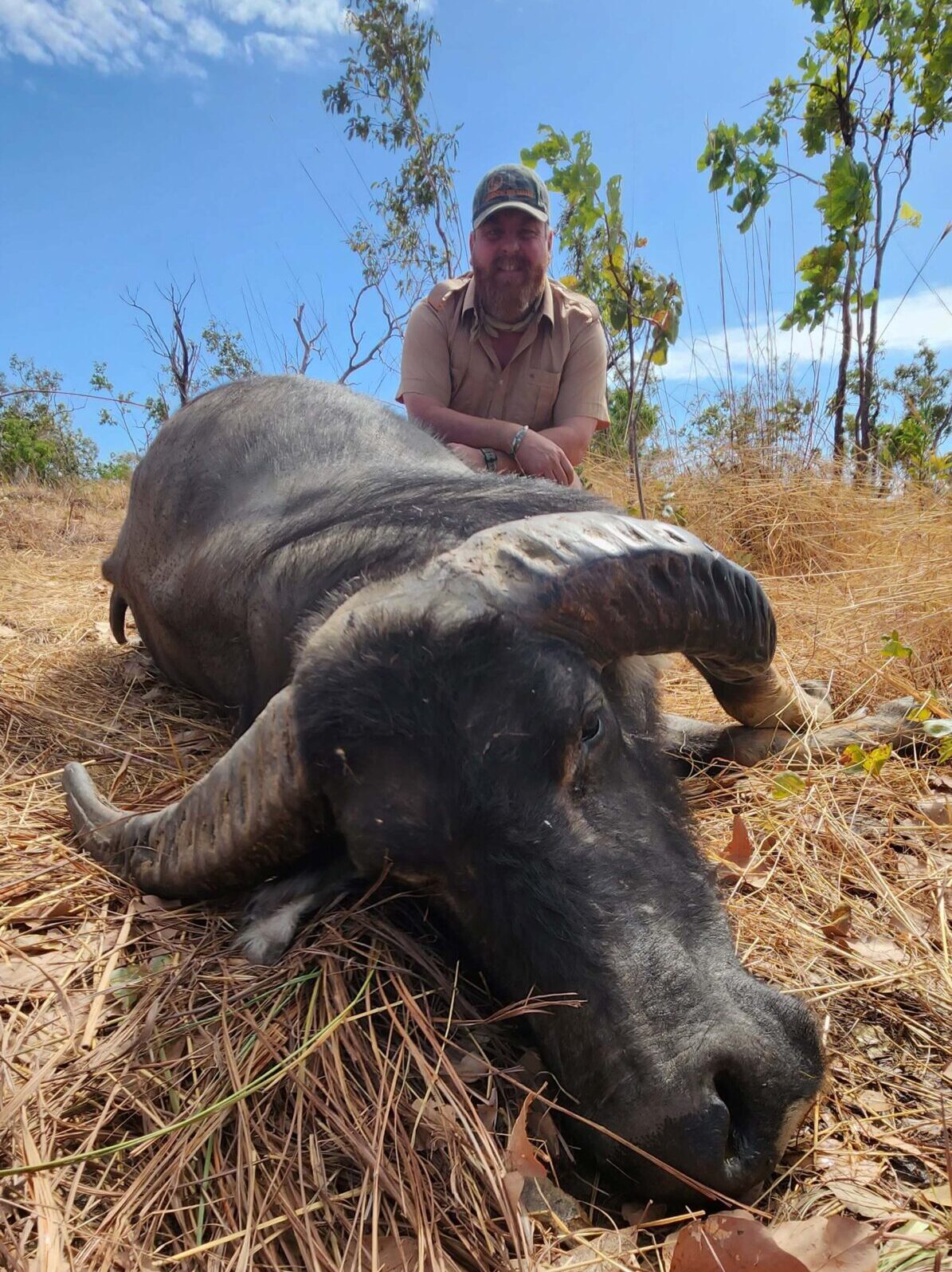 Buffalo