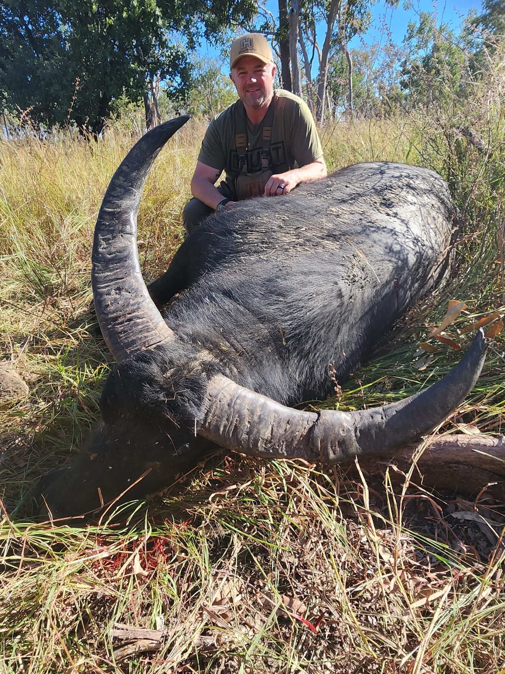 Buffalo