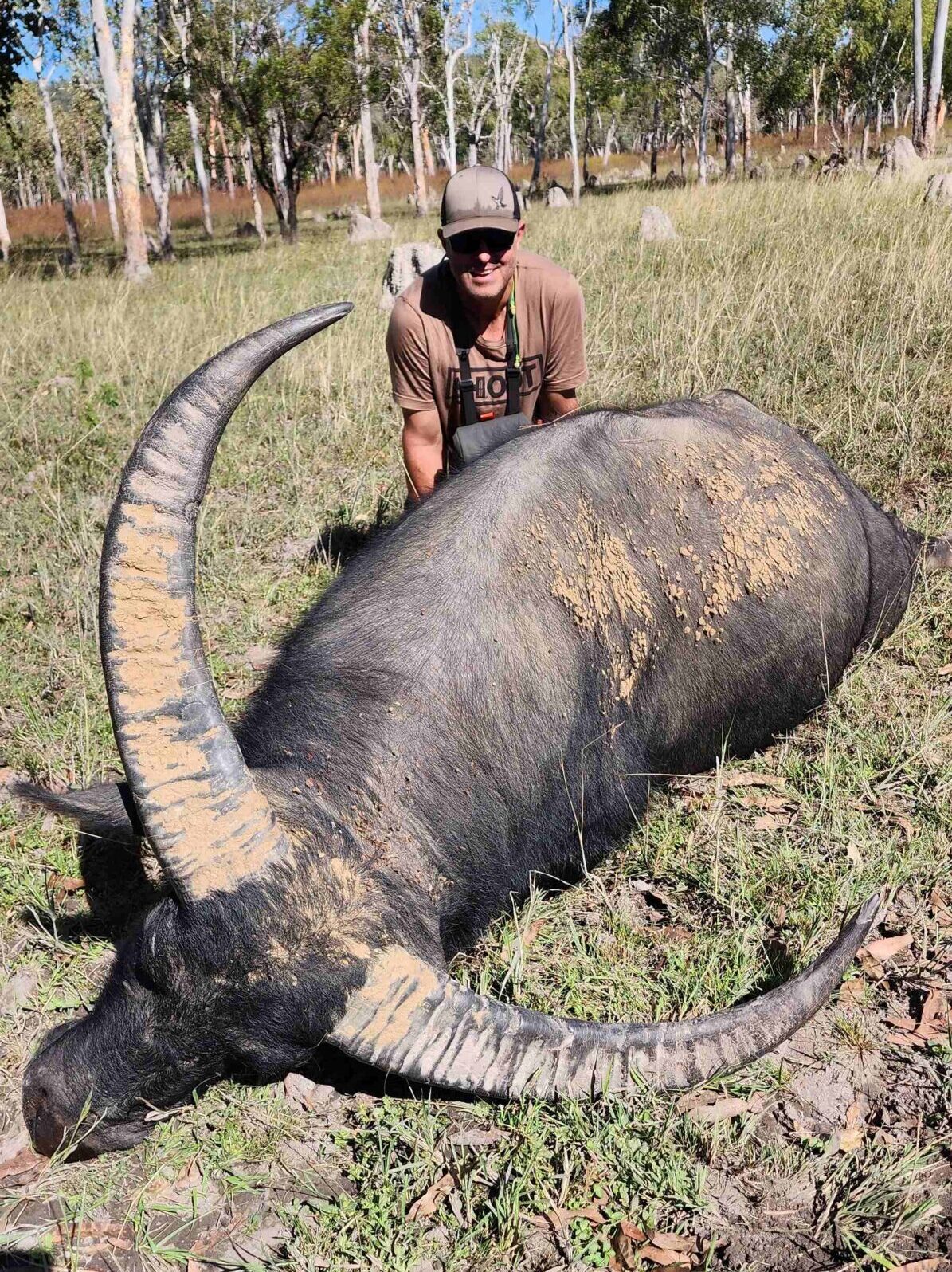 Buffalo