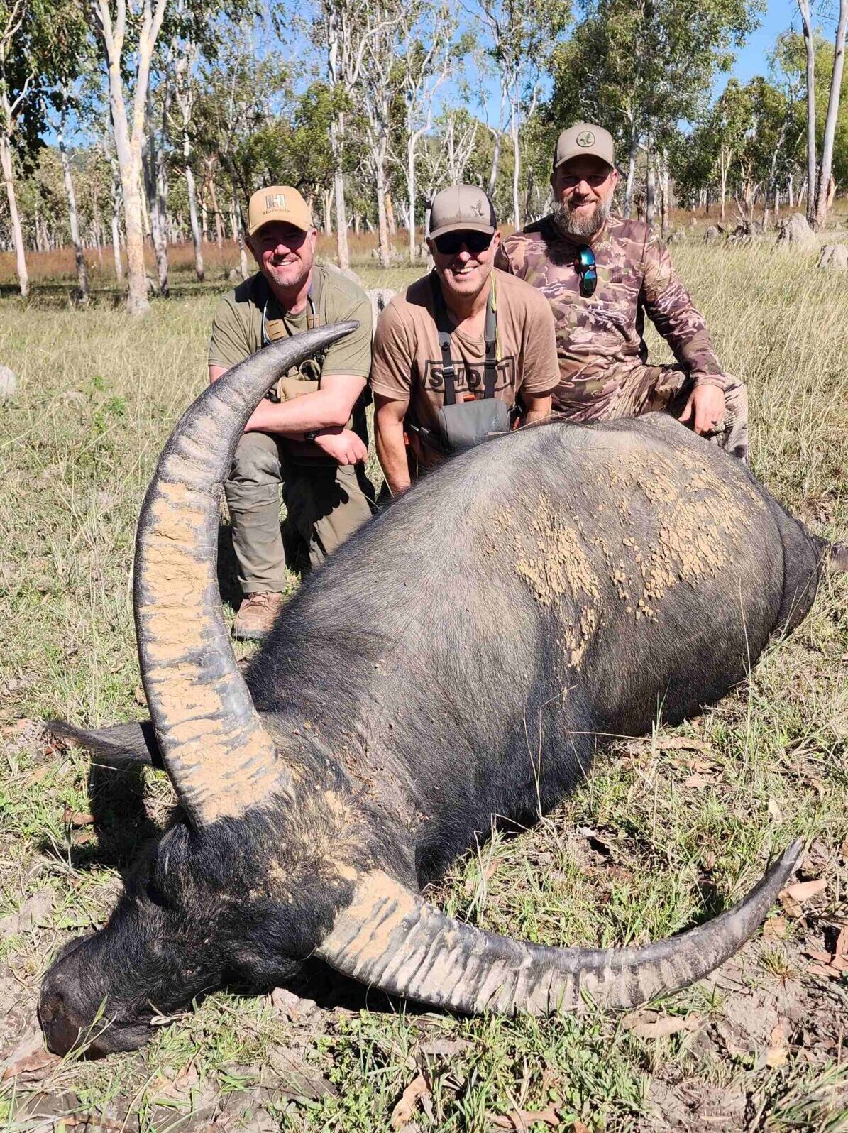 Buffalo