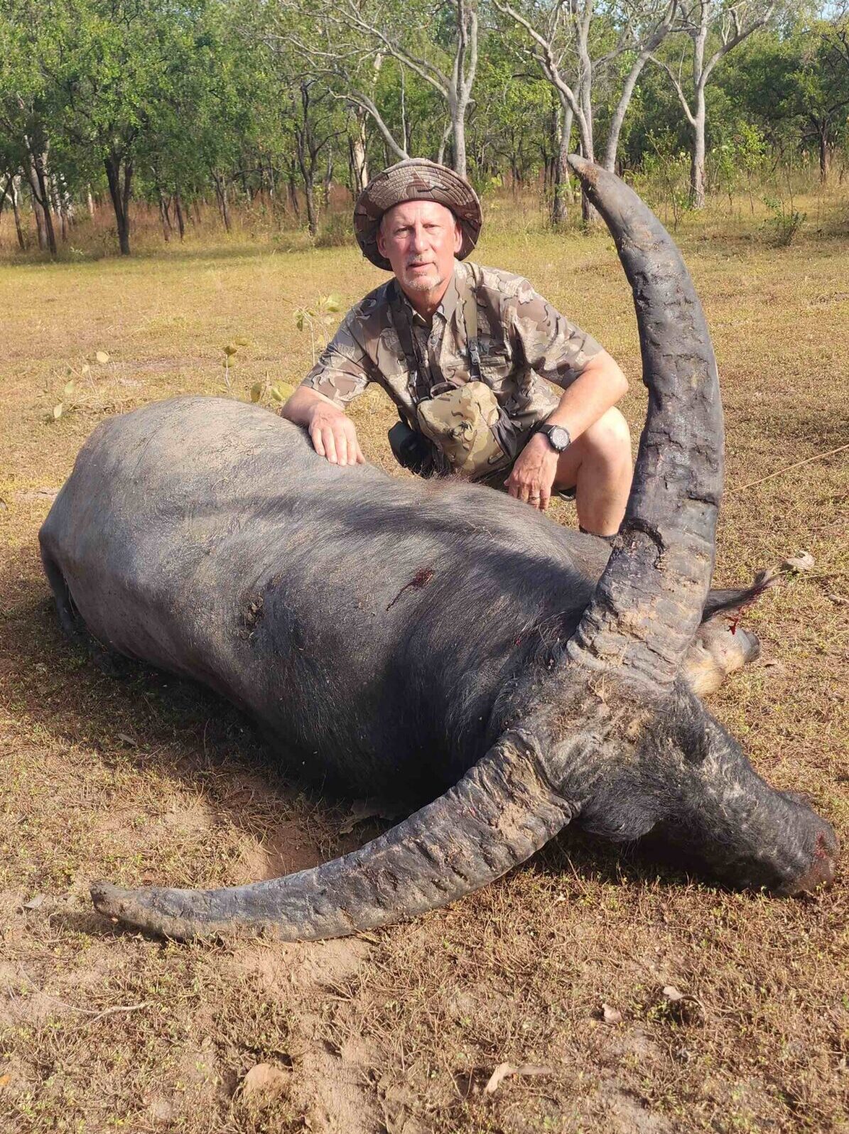 Buffalo