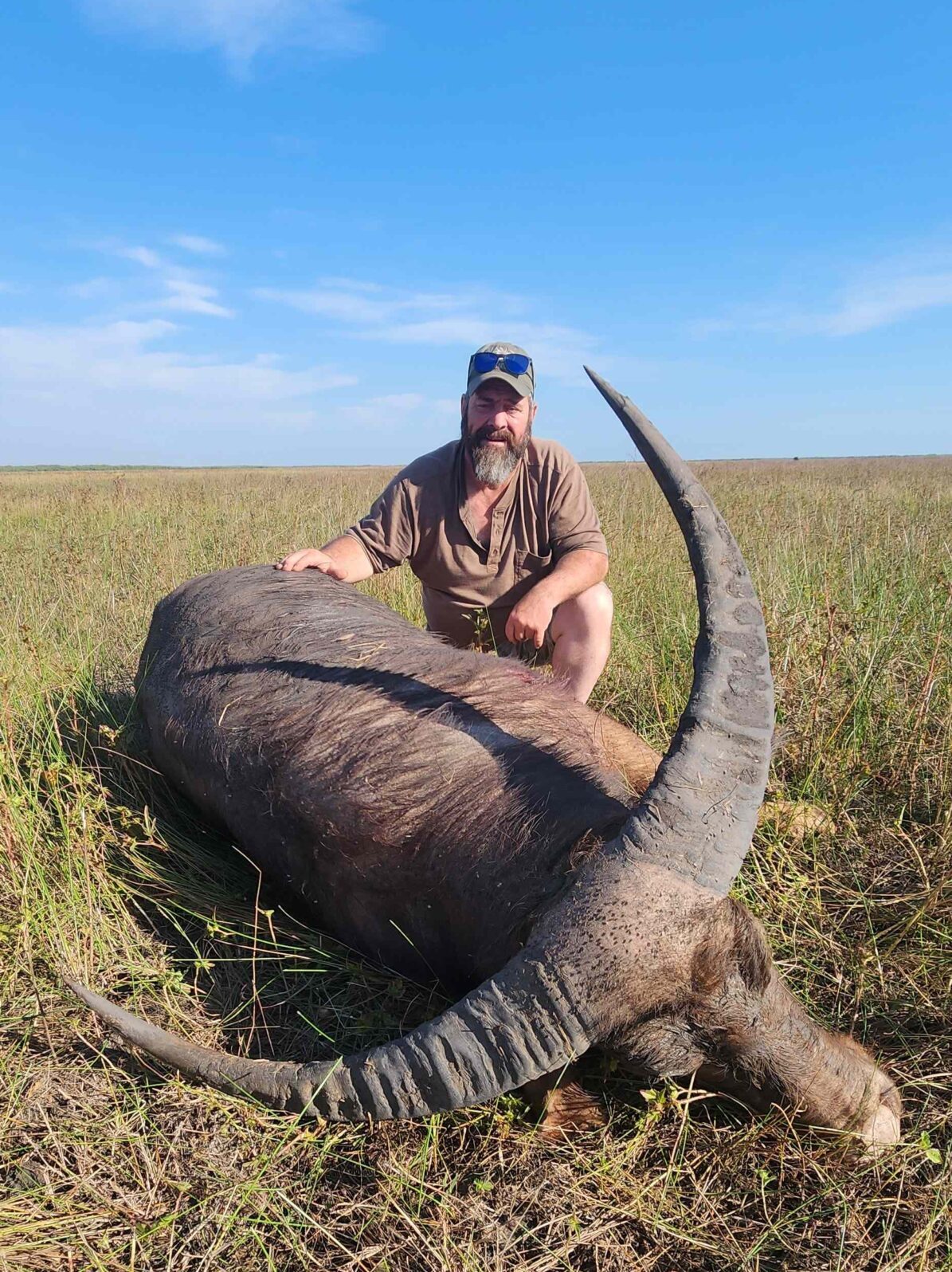 Buffalo