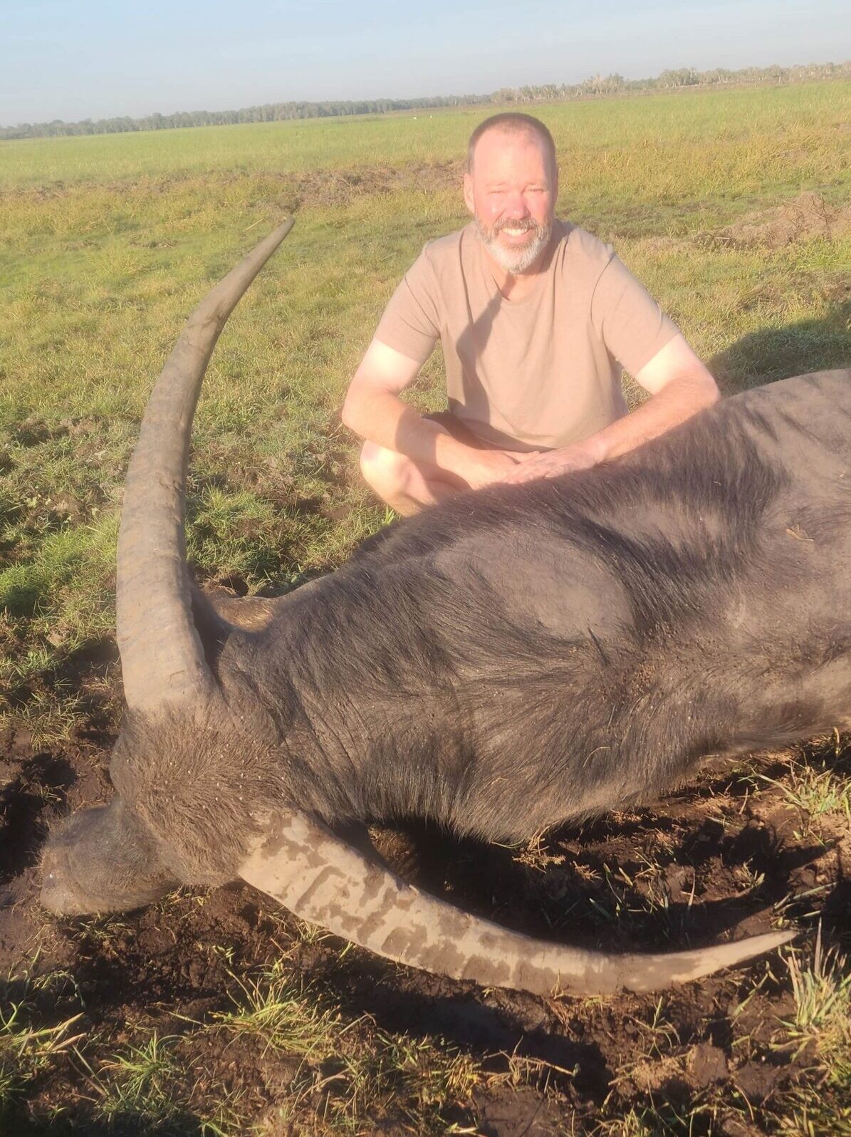 Buffalo