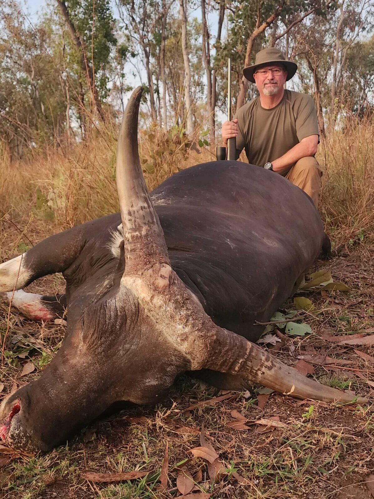 Banteng