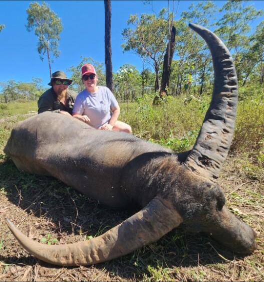 Buffalo