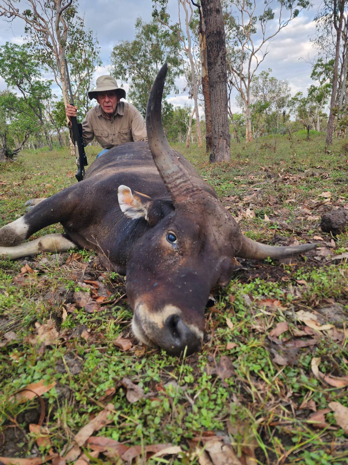 Banteng