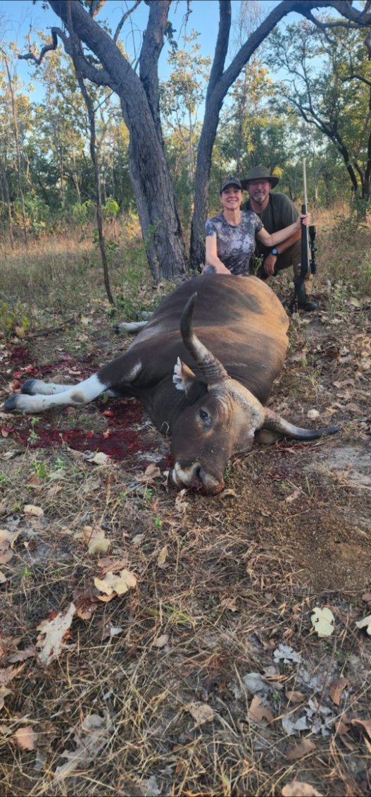 Banteng