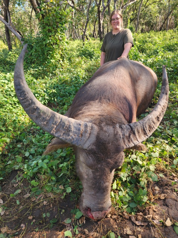 Buffalo