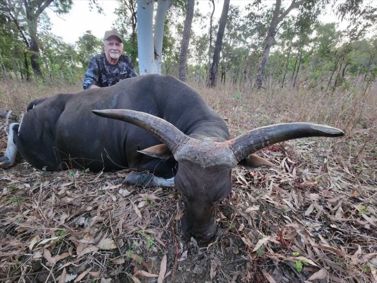Banteng
