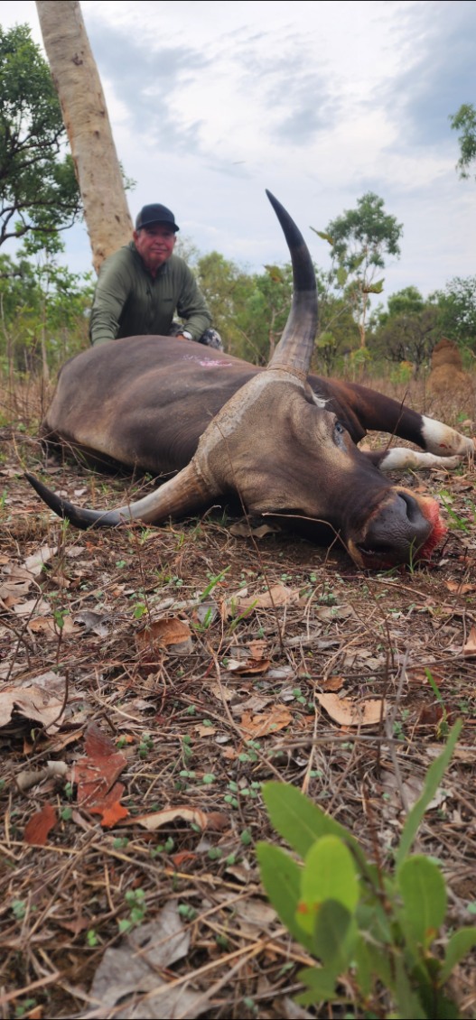 Banteng