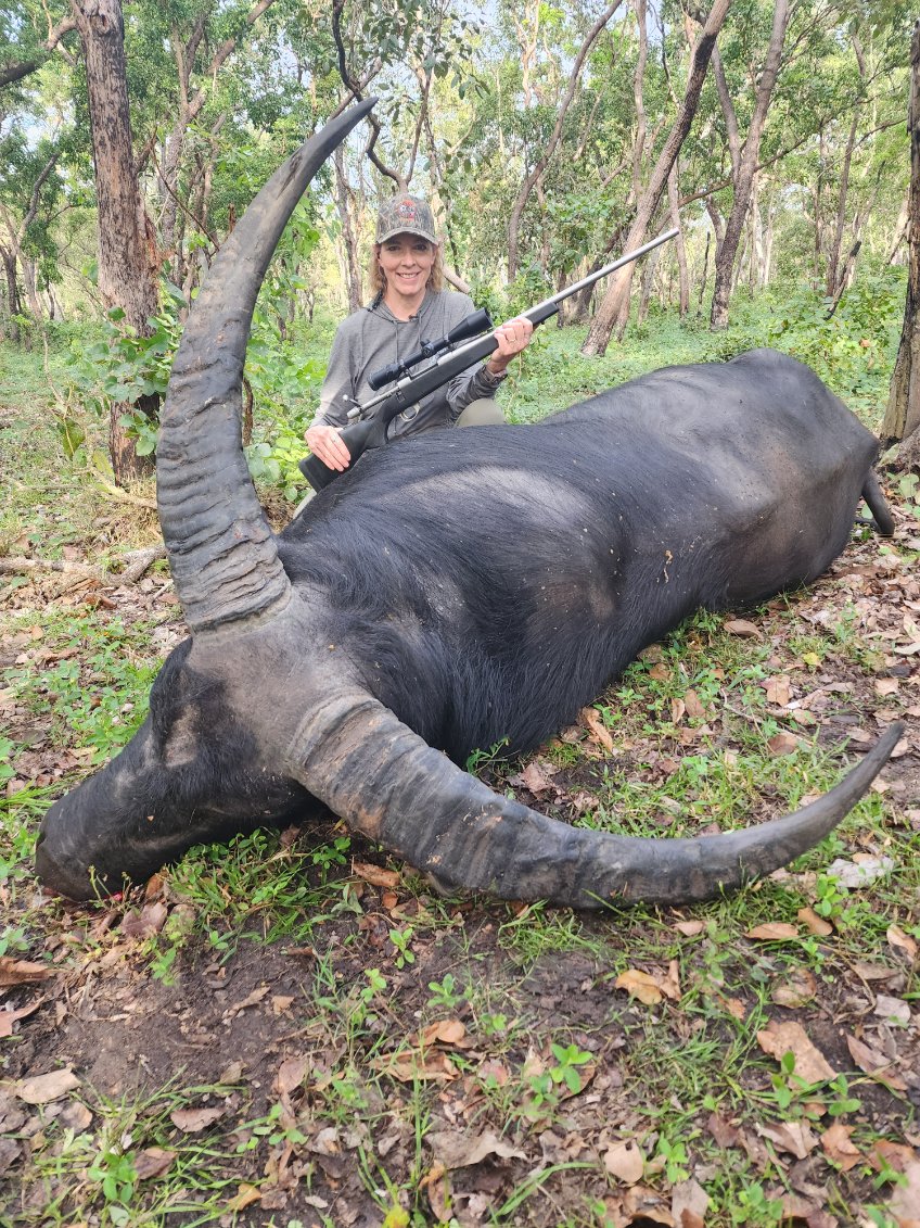 Buffalo