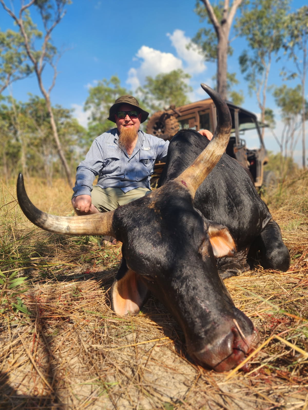 Banteng