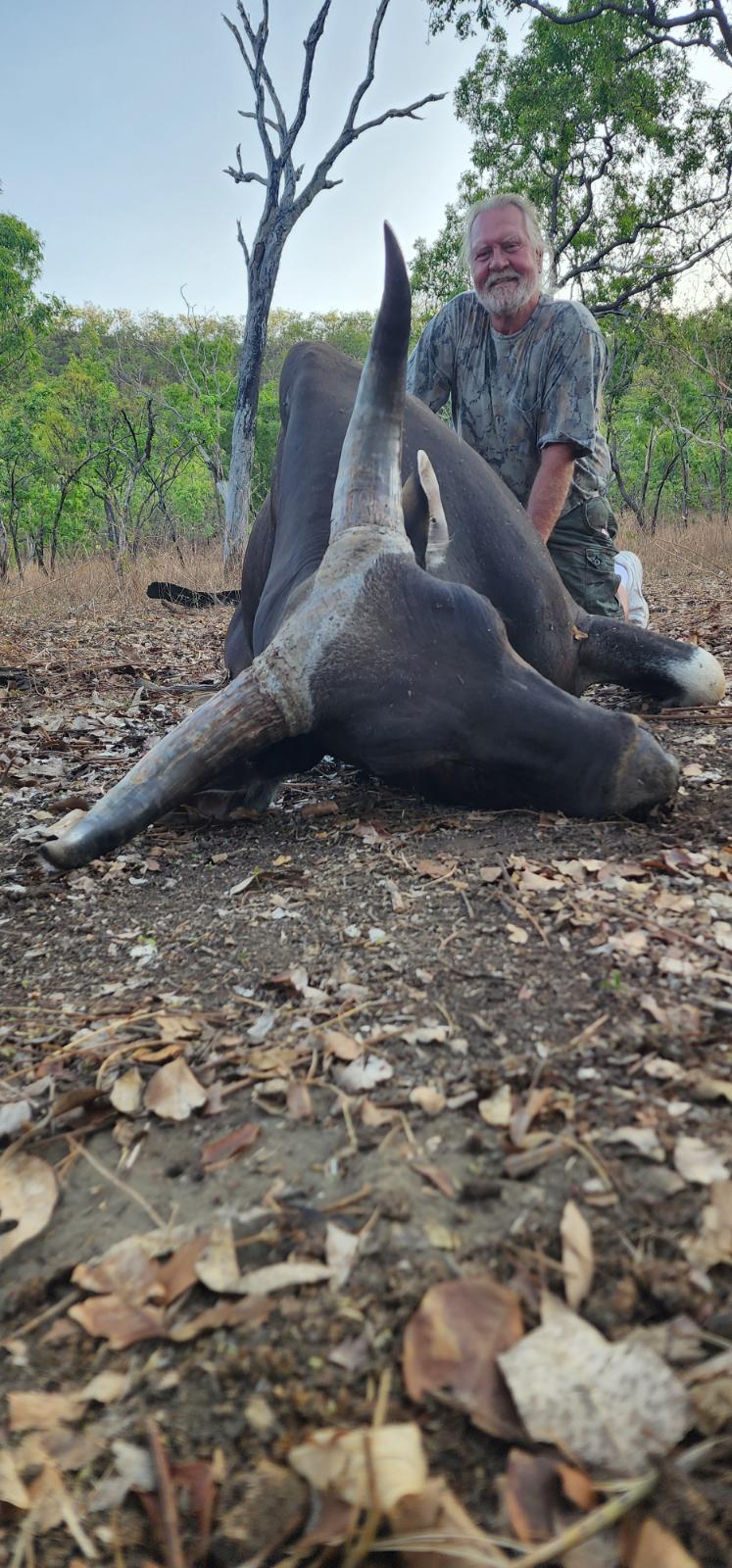 Banteng
