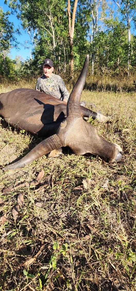 Banteng