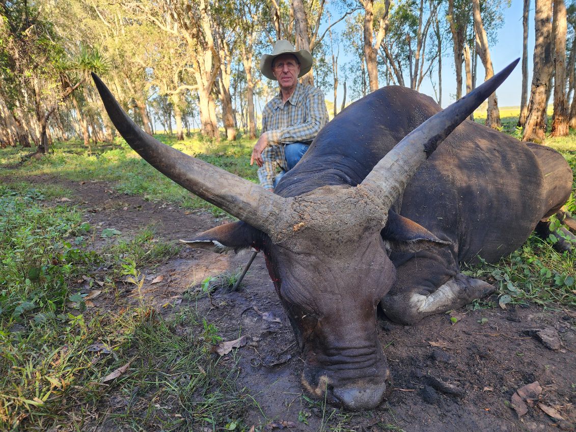 Banteng