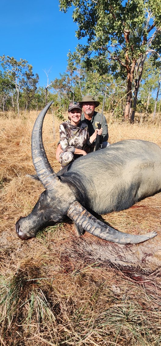 Buffalo