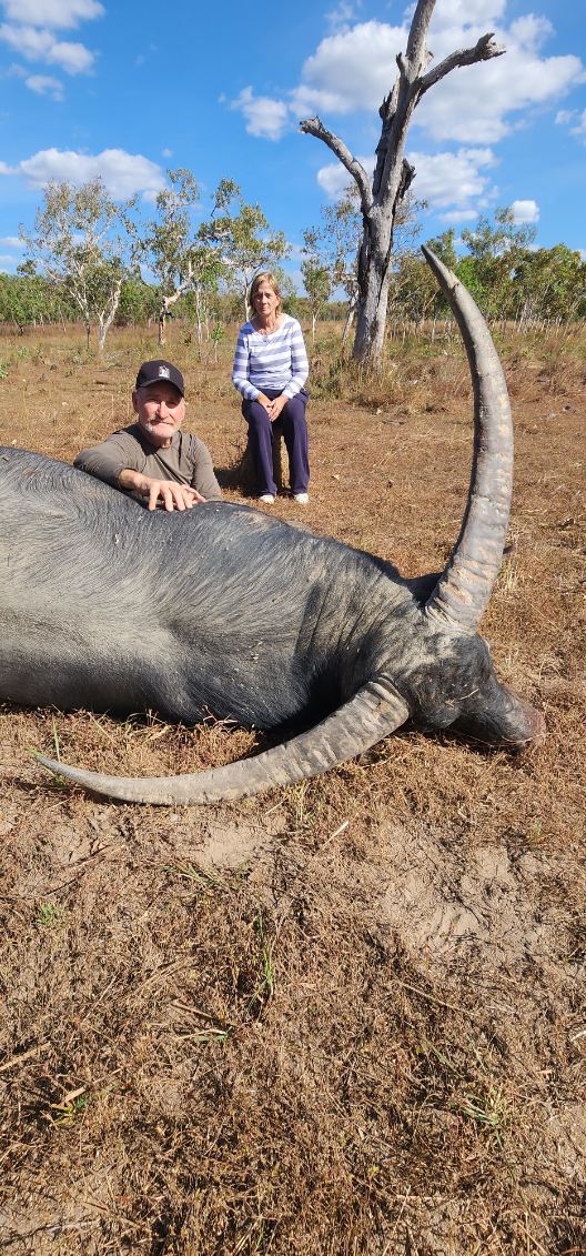 Buffalo