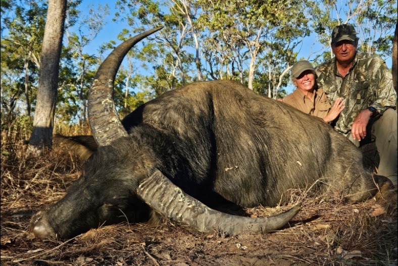 Buffalo