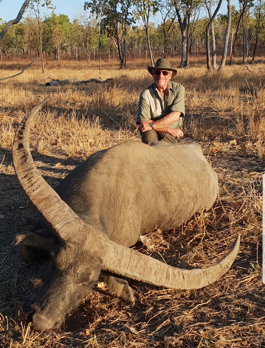 Buffalo