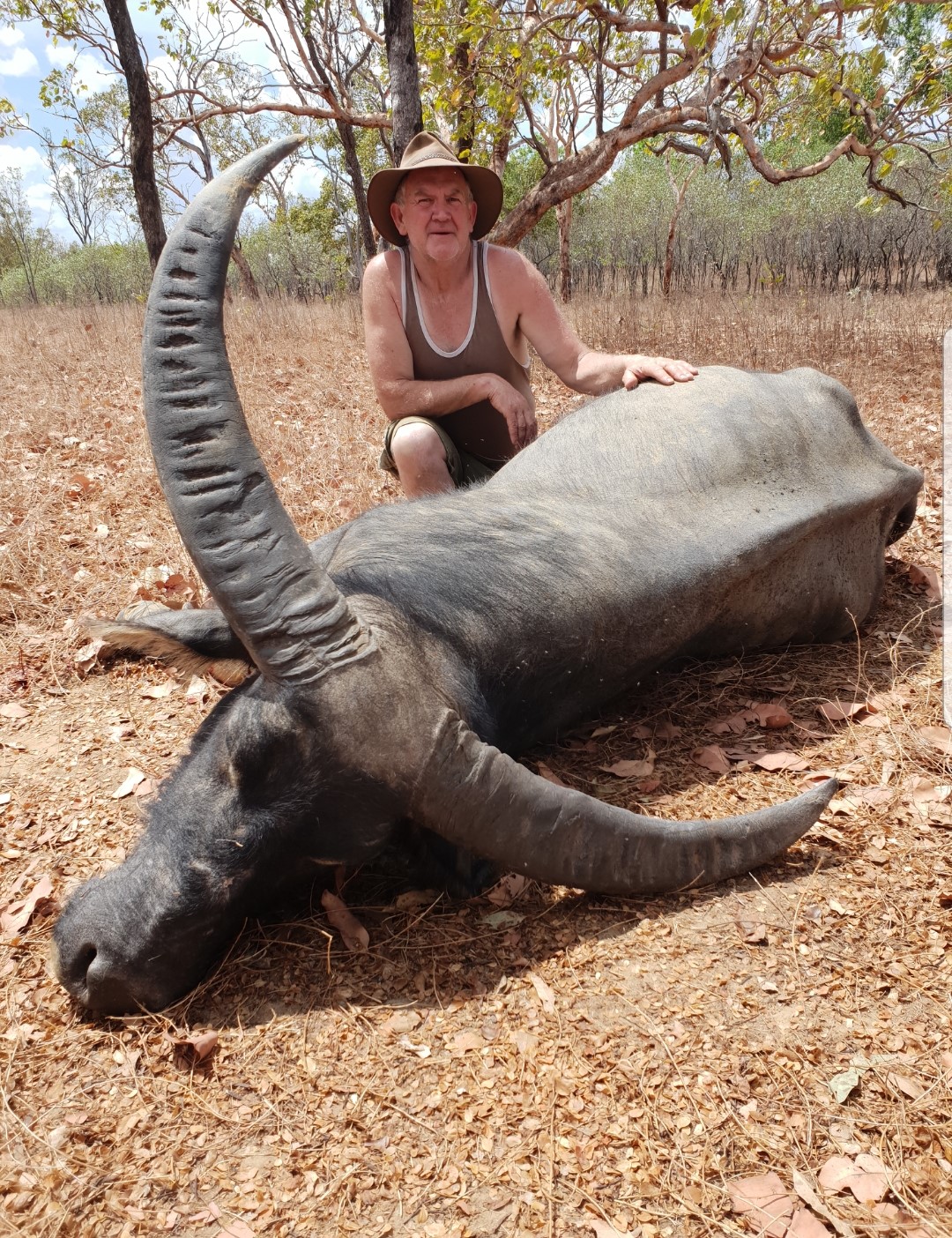 Buffalo