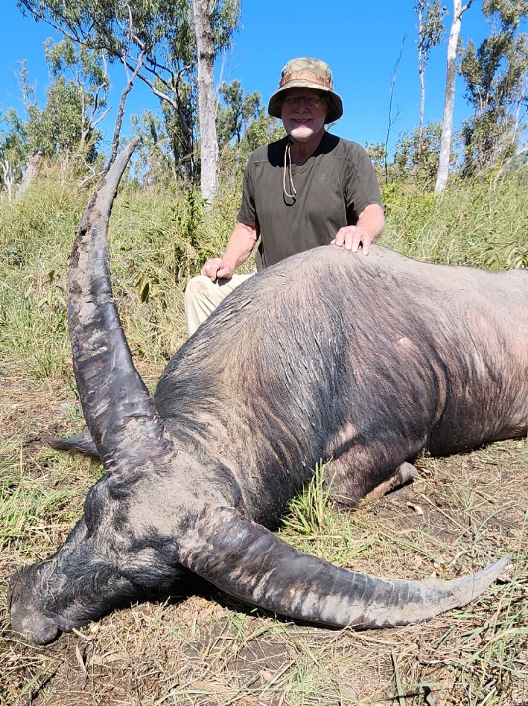 Buffalo