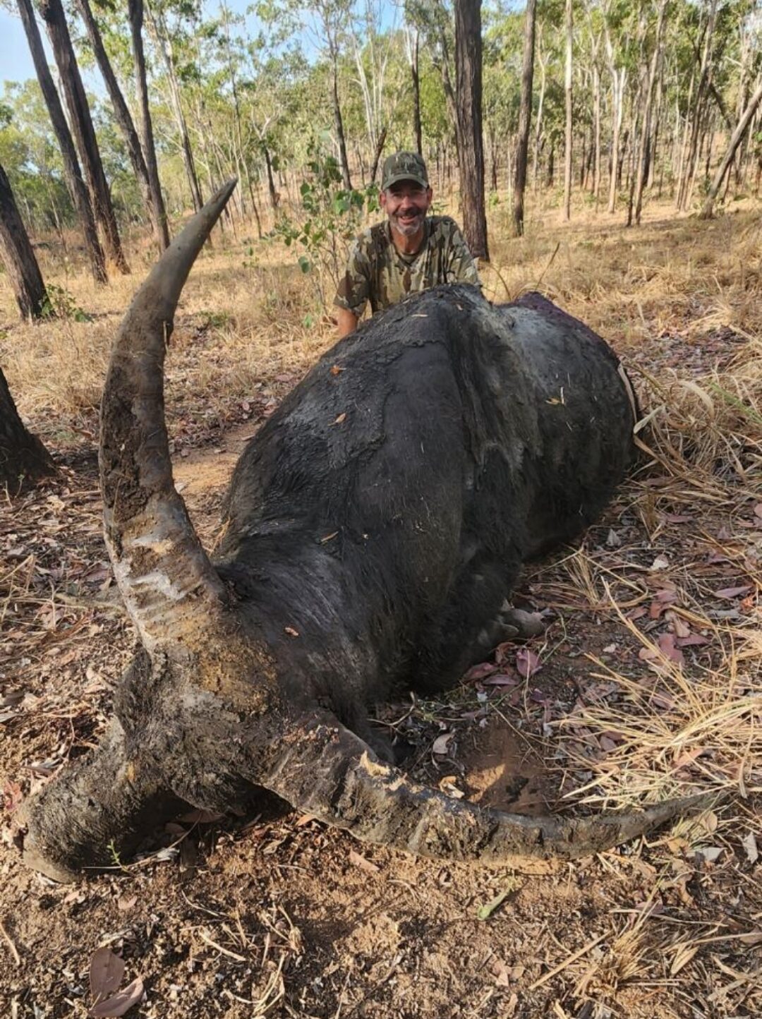 Buffalo