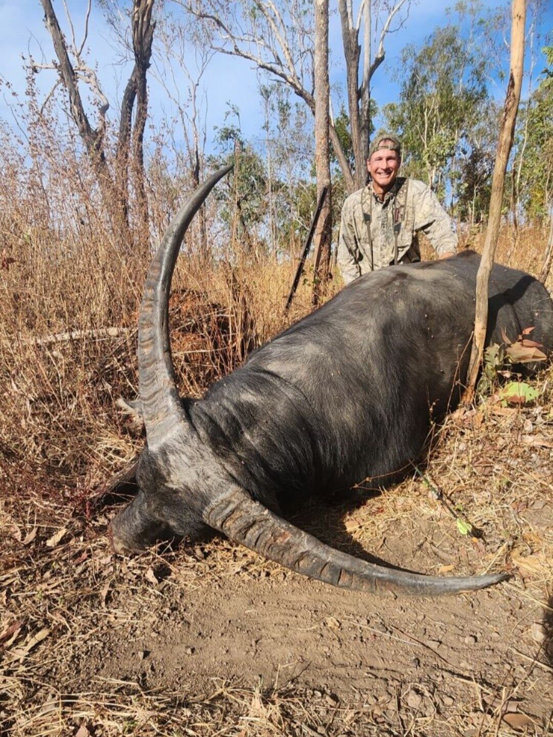 Buffalo