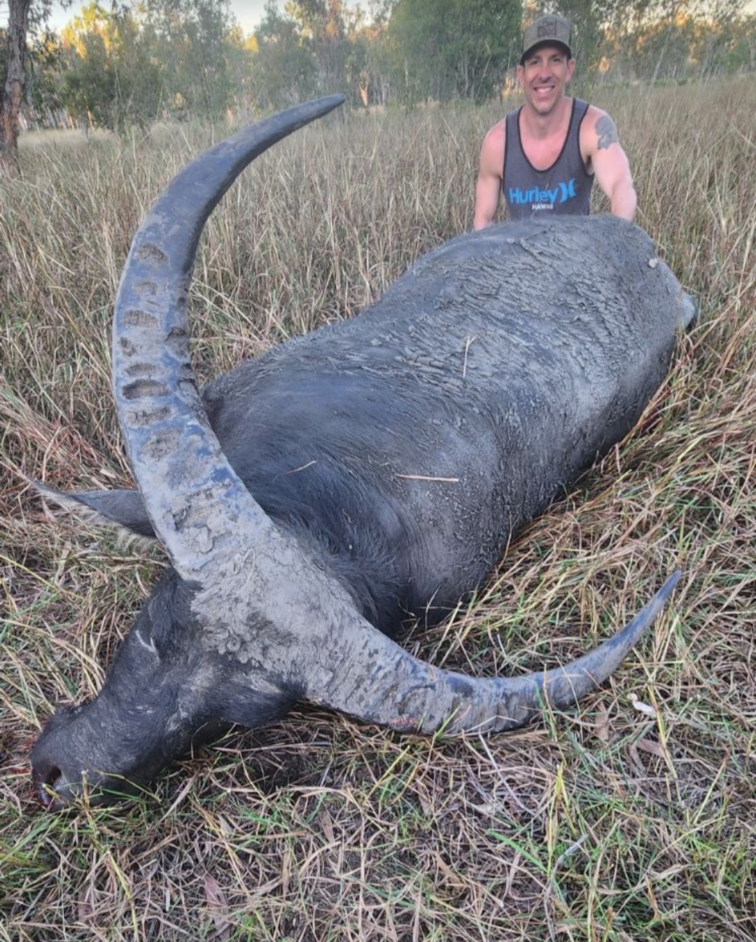 Buffalo