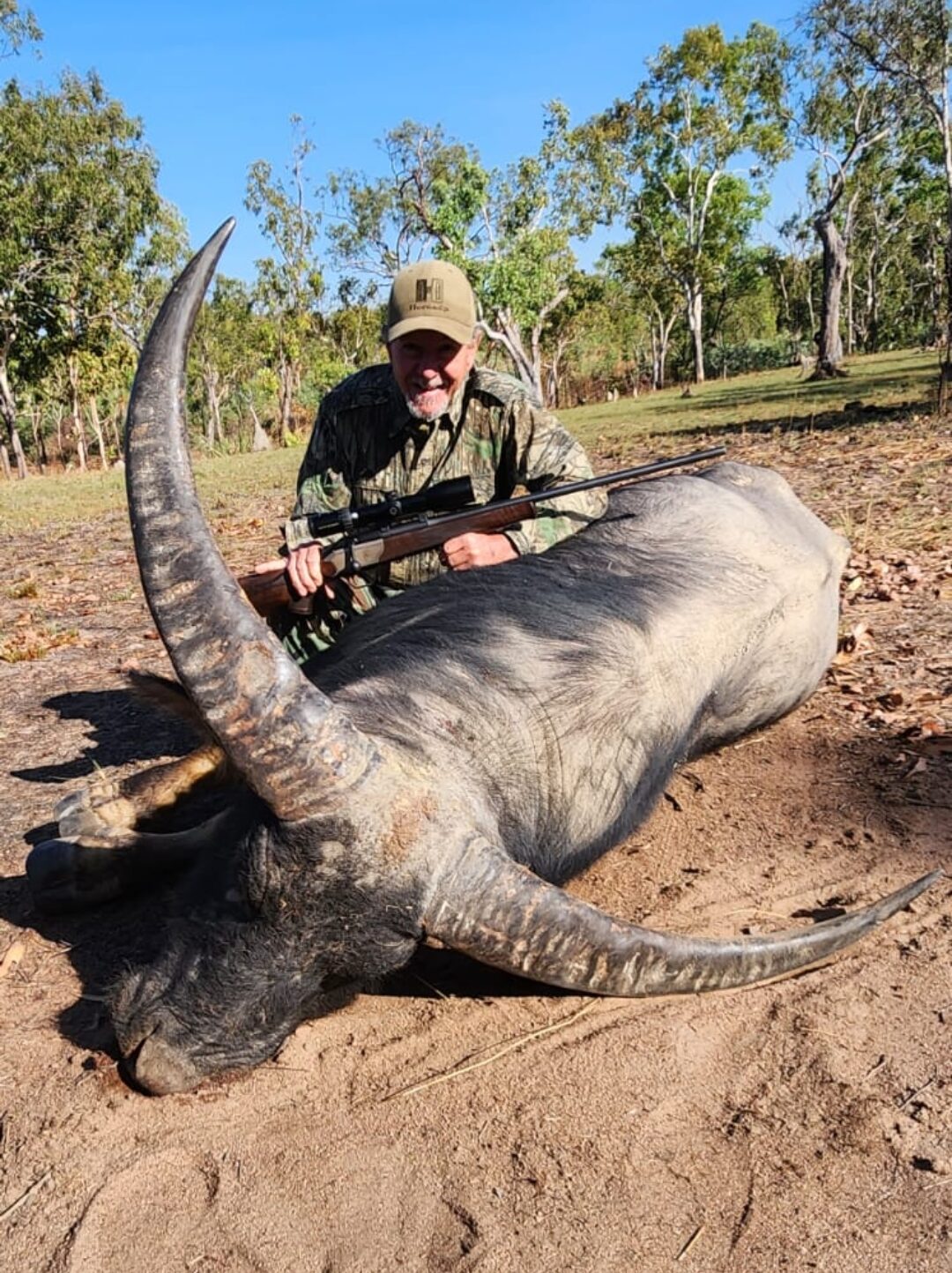 Buffalo