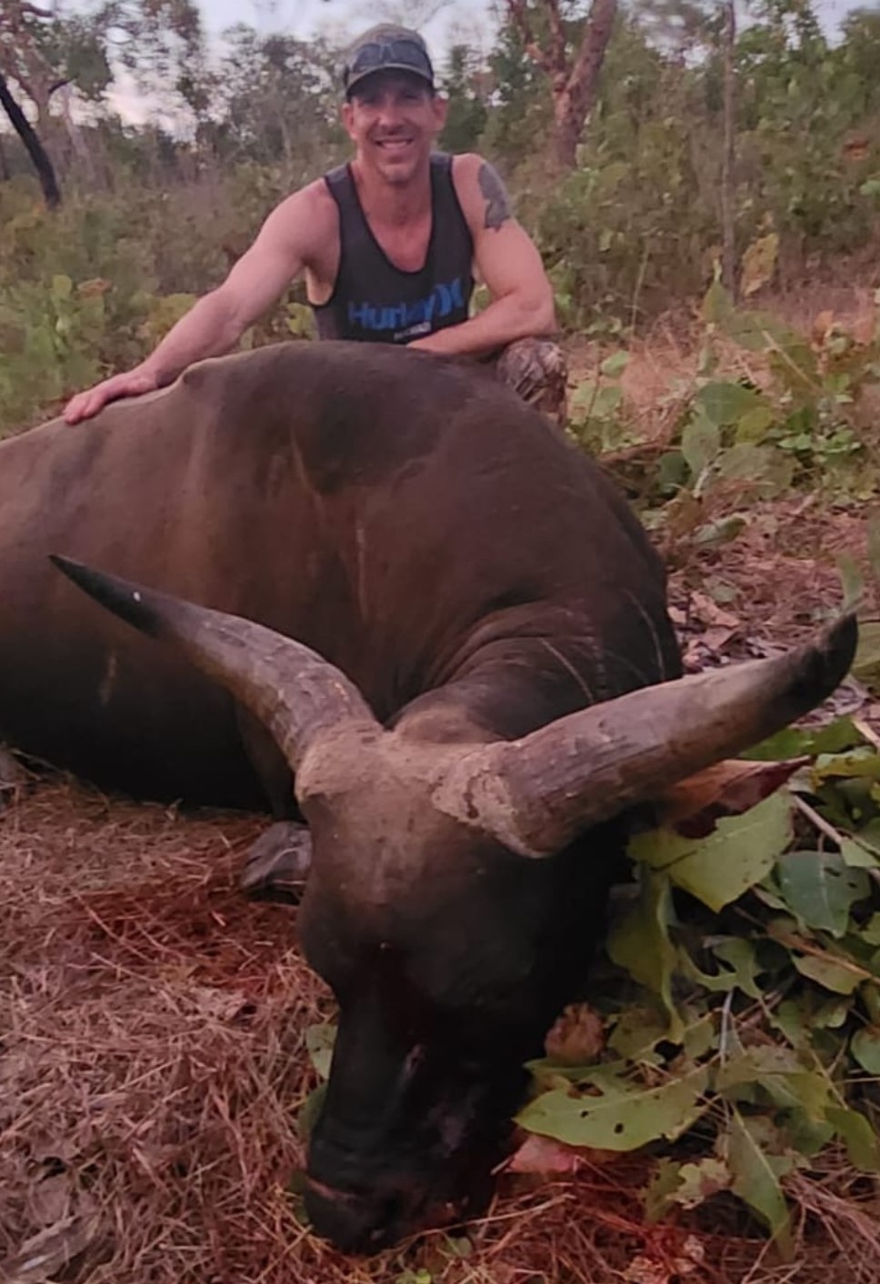 Banteng