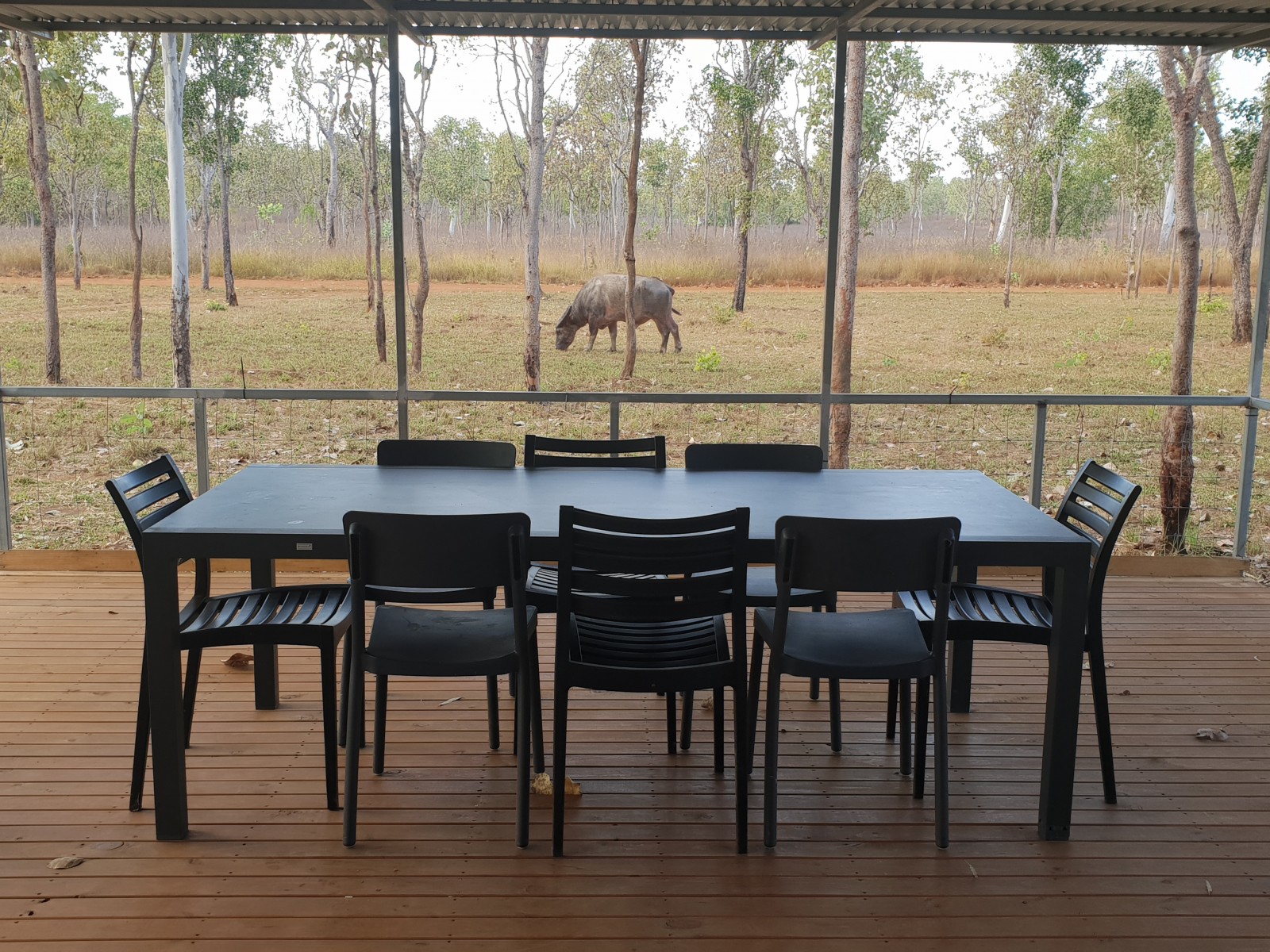 Accommodation