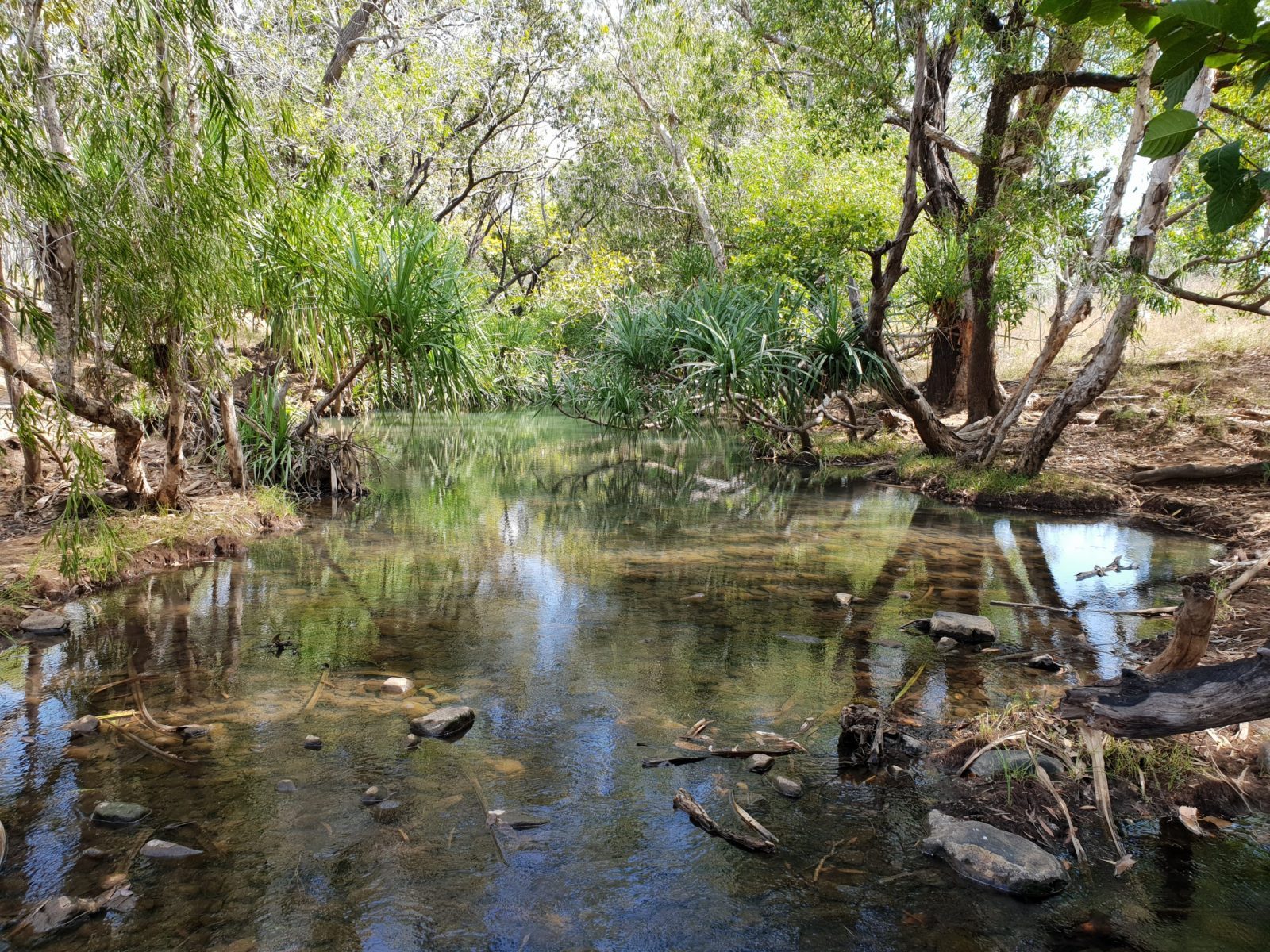 Mary River Station