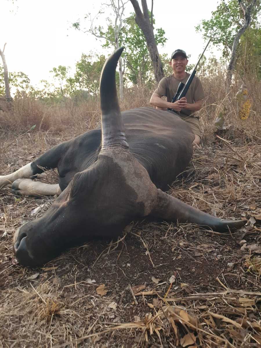 Banteng