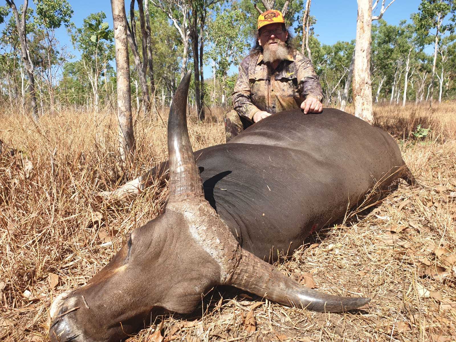 Banteng