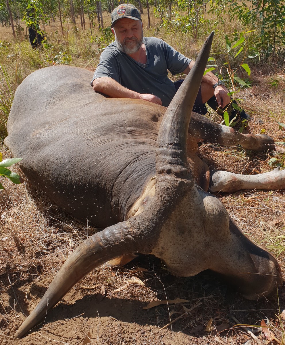 Banteng